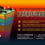 Petrification landscape with text 1000 x 650 px
