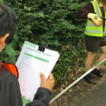 Wiltshire Litter