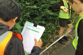 Wiltshire Litter