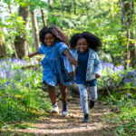 Westonbirt