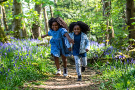 Westonbirt