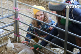 Lambing