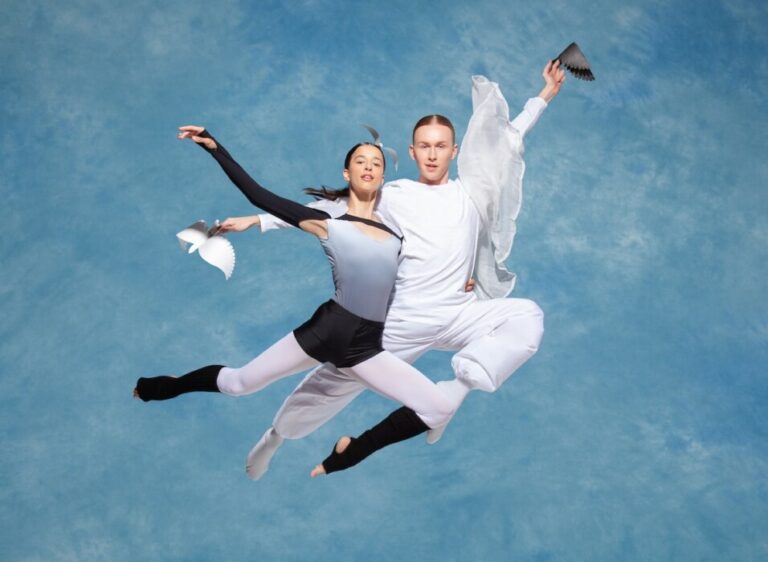 Skydiver