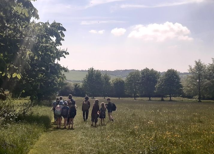 Meadow