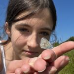 Butterfly Count