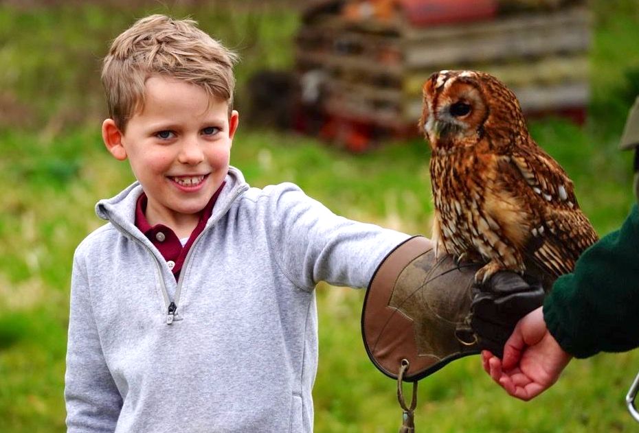 Bird of Prey Project