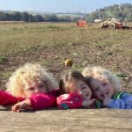 Oldfield Nursery