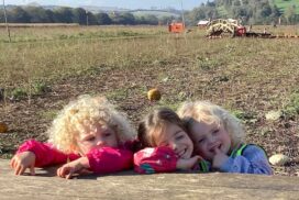 Oldfield Nursery