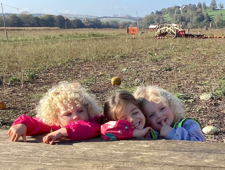 Oldfield Nursery