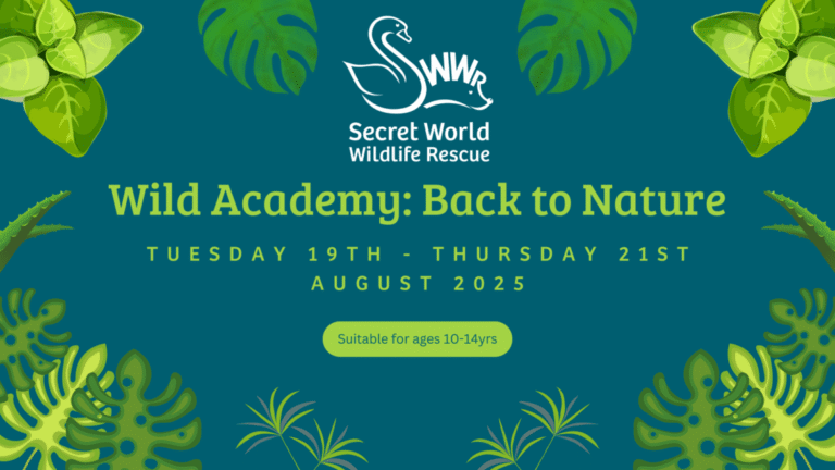 Wild Academy Back to Nature Banner