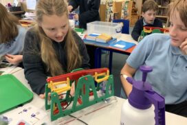 Oare Primary School