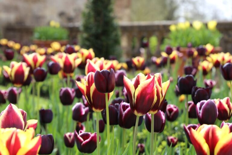 Dyrham Park