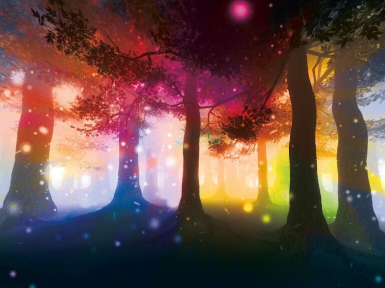 Midsummer's Night Dream