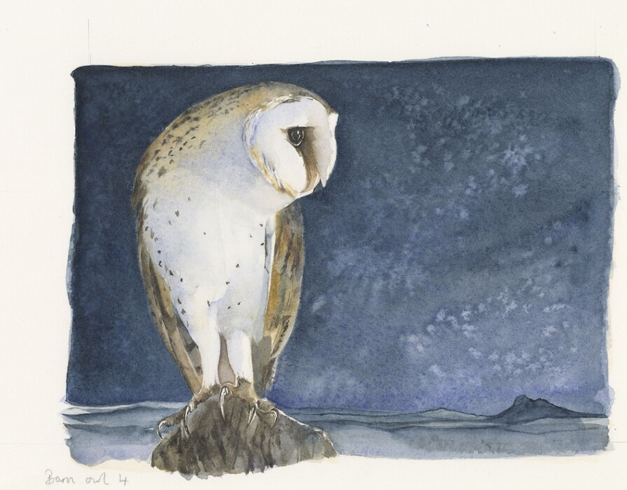 Owl 4 the lost spells cjackie morris