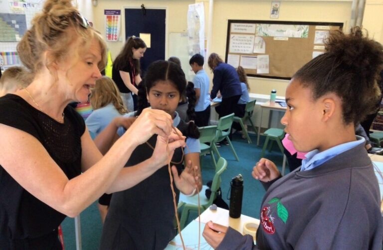 Roundhill Primary School Willow Workshop 1