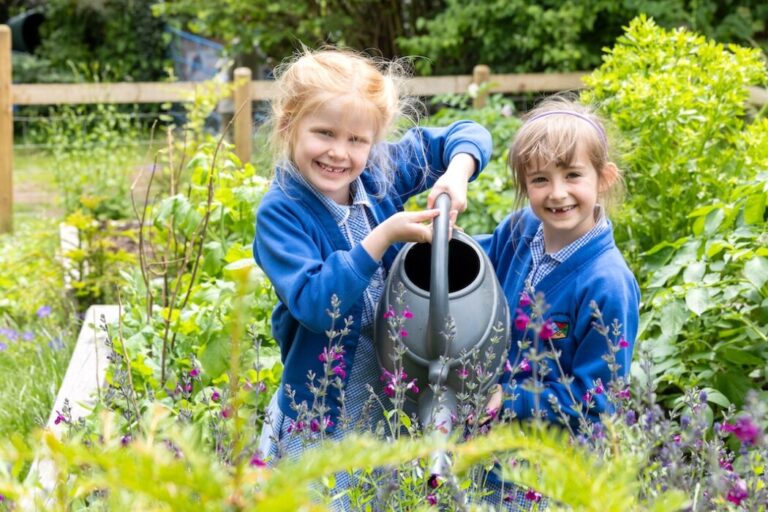 Chew Magna Primary
