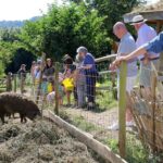 Bath City Farm