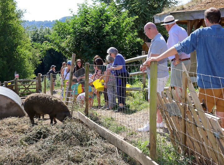 Bath City Farm