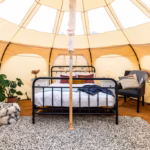 Natterjack Glamping