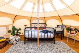 Natterjack Glamping