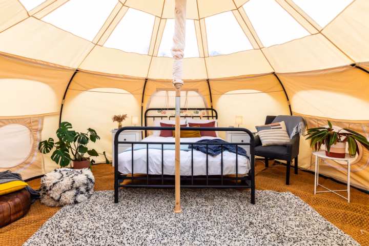 Natterjack Glamping