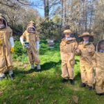 Beechen Cliff Beekeeping