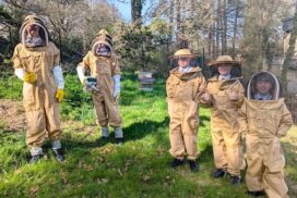 Beechen Cliff Beekeeping