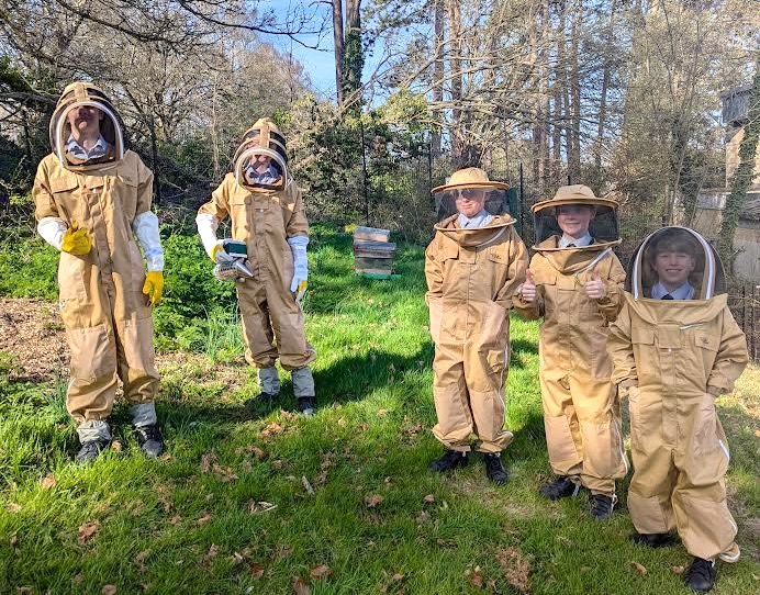 Beechen Cliff Beekeeping