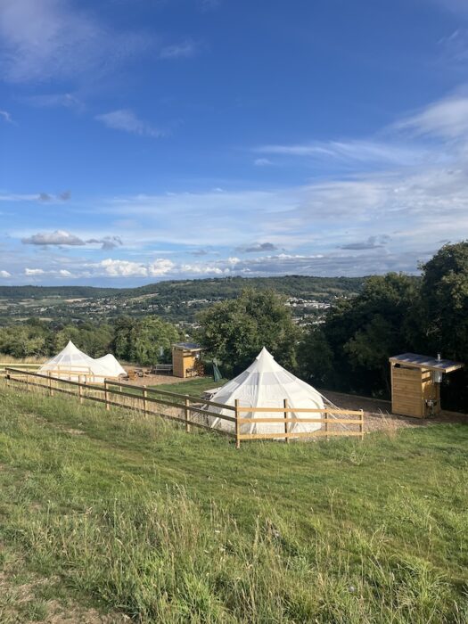 Natterjack portrait tents