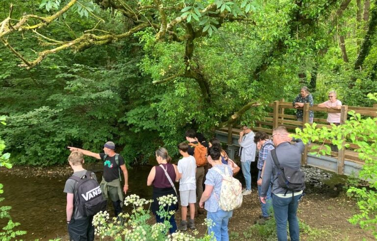 Somer walking festival