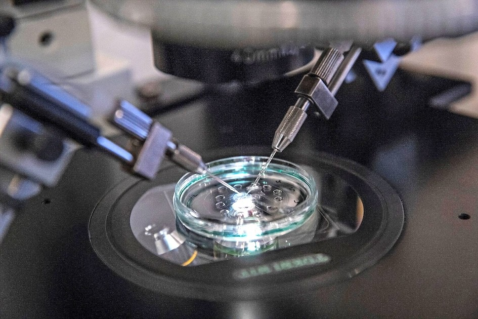 Open Evening at Bristol Centre for Reproductive Medicine
