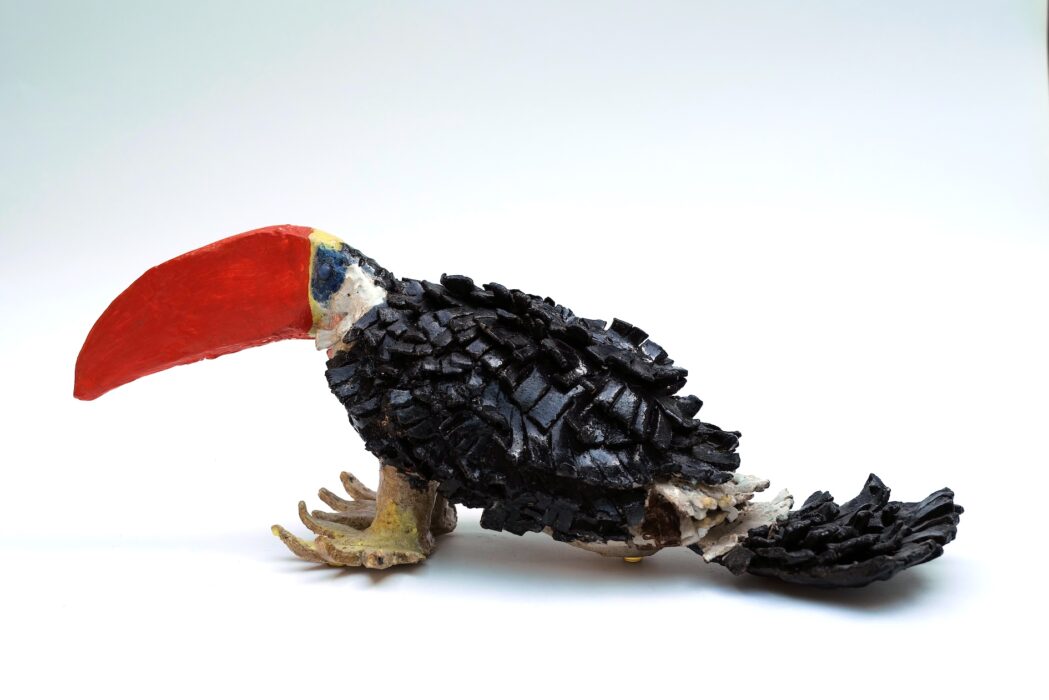 Holburne 4 psiche hughes toucan for clay creatures workshop