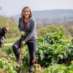 Bath city farm volunteer