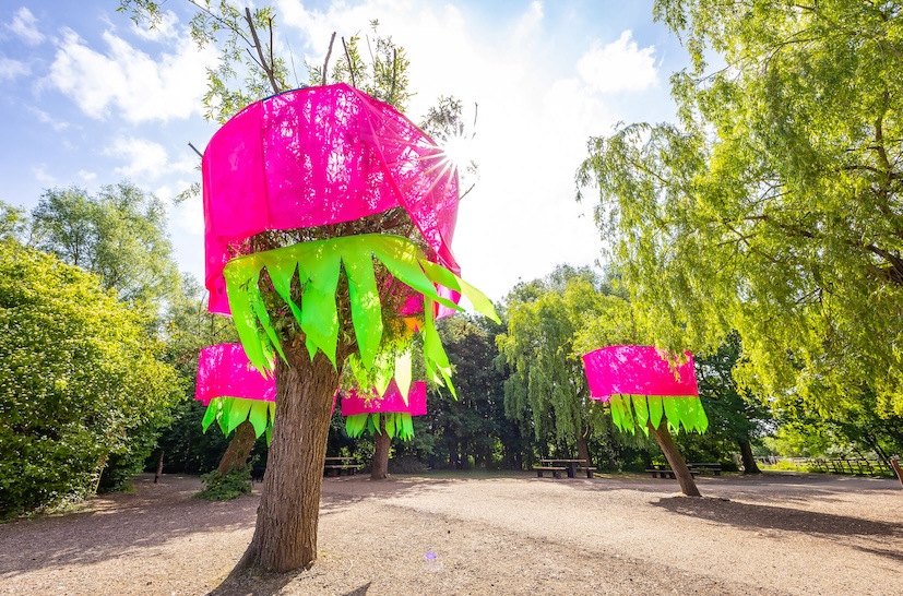 Forest of Imagination