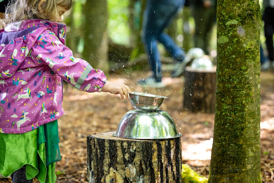 Forest of Imagination