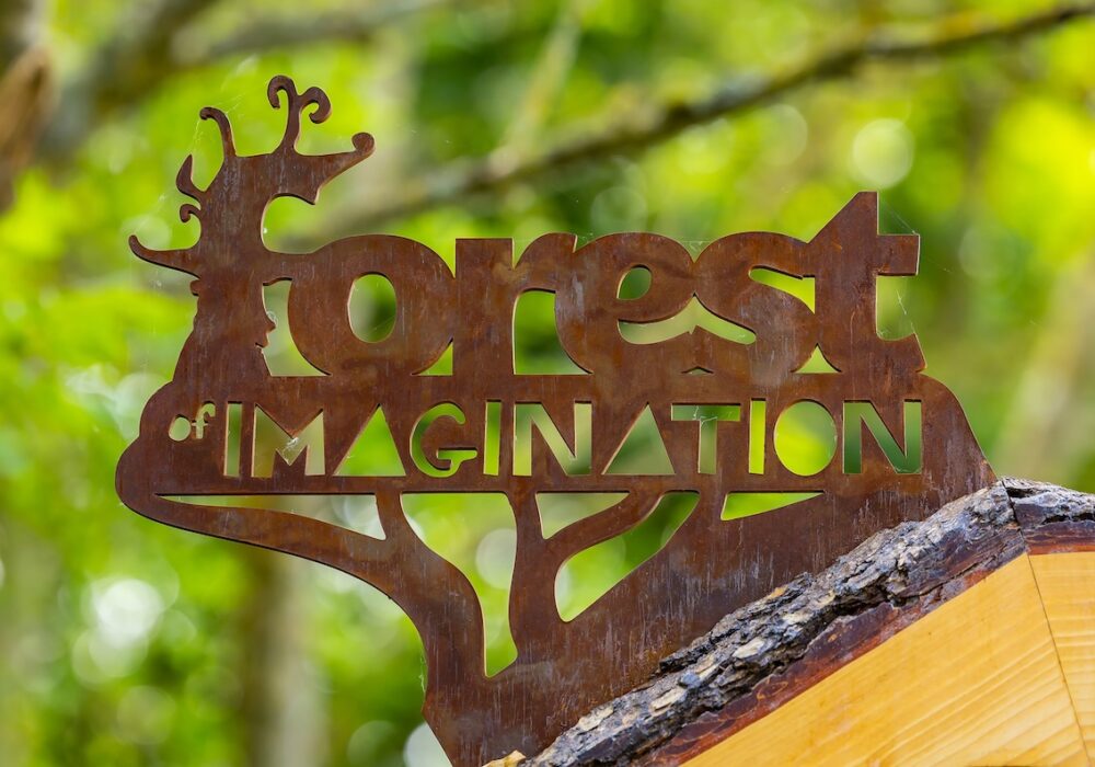 Forest of Imagination