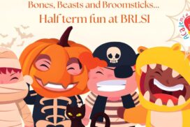 Brlsi