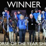Downside horses