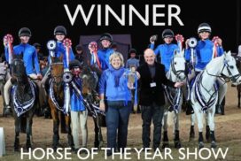 Downside horses