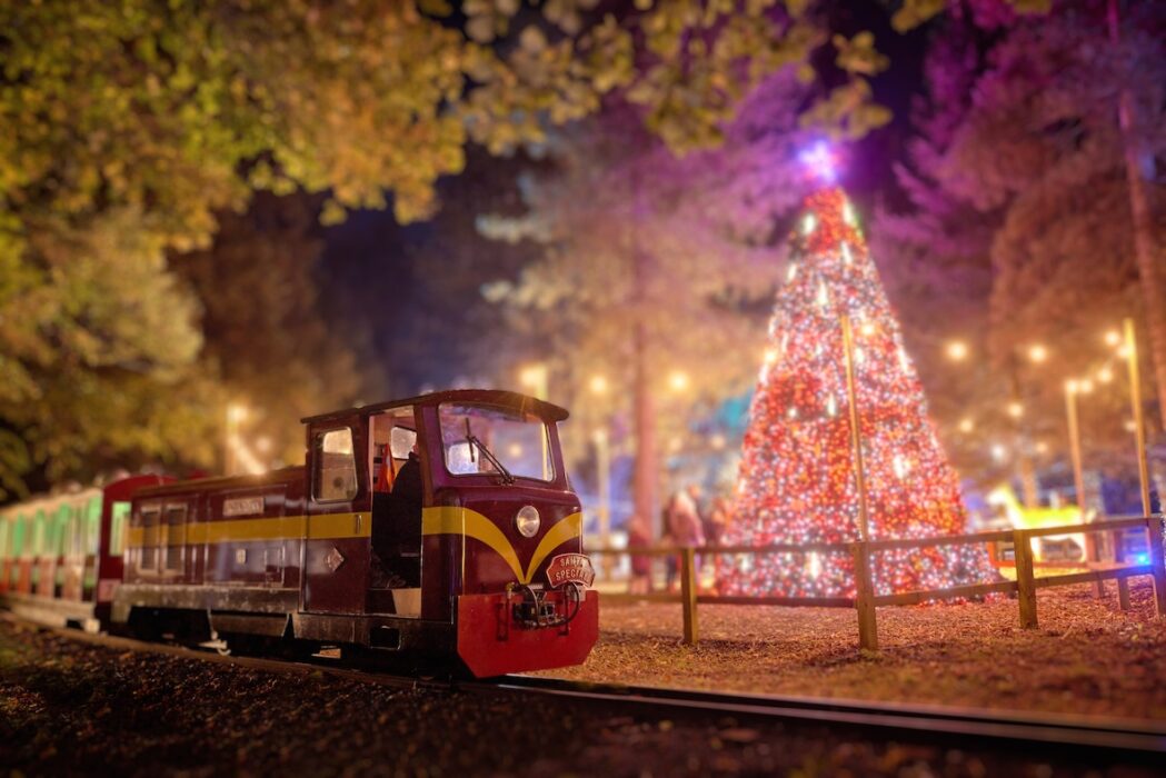 Edschofield santa train 2021 9468 rt