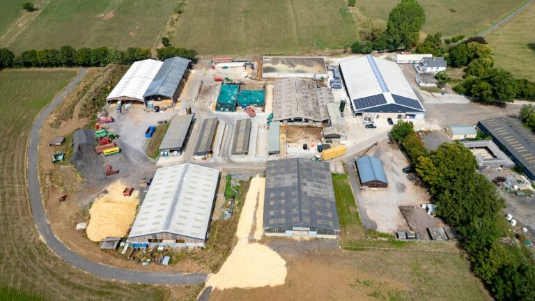 Lackham farm
