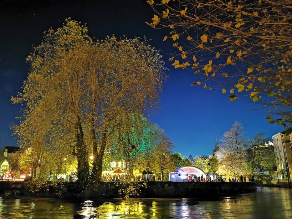 Christmas lights switch on in westbury garden 2022