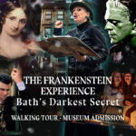 Newbwp experience