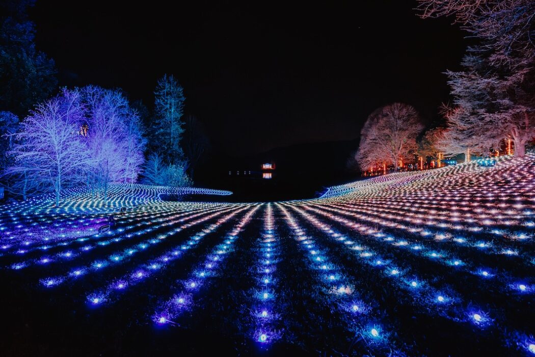 Christmas at Stourhead Luke dyson @lukedyson www.lukedyson.com