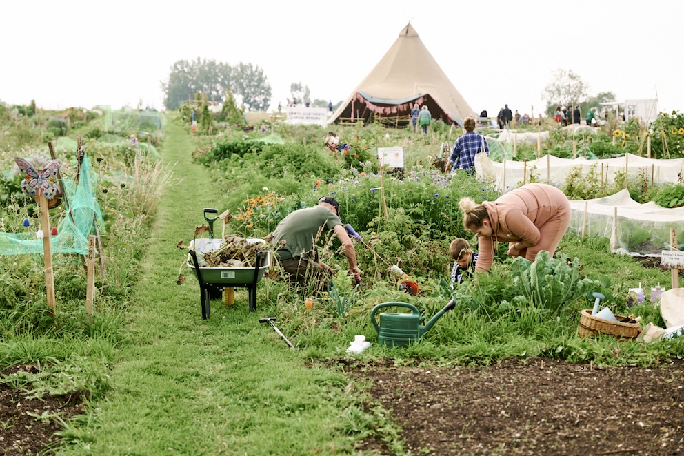 Roots Allotments Bath families