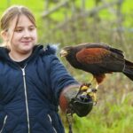 Young wildlife fans can step behind the scenes at The Bird of Prey Project this February with a brand new Junior Bird Keeper experience.