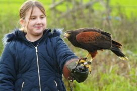 Young wildlife fans can step behind the scenes at The Bird of Prey Project this February with a brand new Junior Bird Keeper experience.
