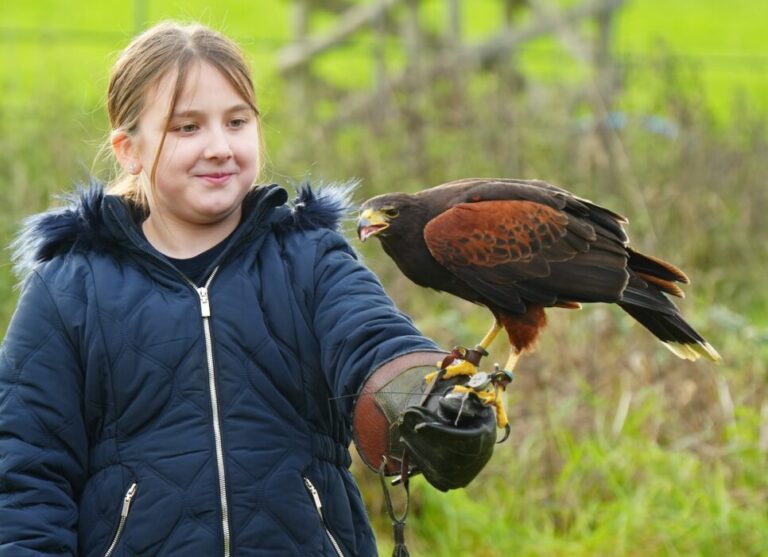 Young wildlife fans can step behind the scenes at The Bird of Prey Project this February with a brand new Junior Bird Keeper experience.