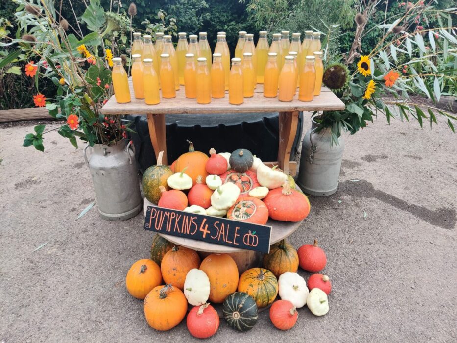 Autumn Fayre at Bath City Farm