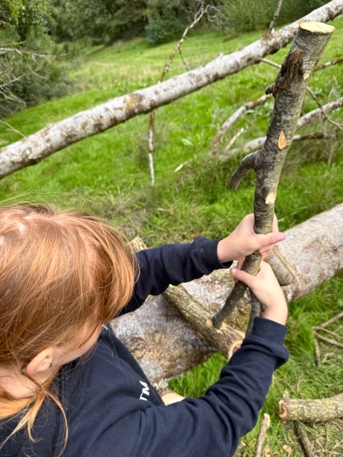 Bath-based Forest of Imagination has won a national award for its project giving children a voice in shaping greener, fairer places to live and play.